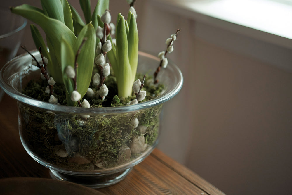 Spring Blossoms in our Revere Bowl