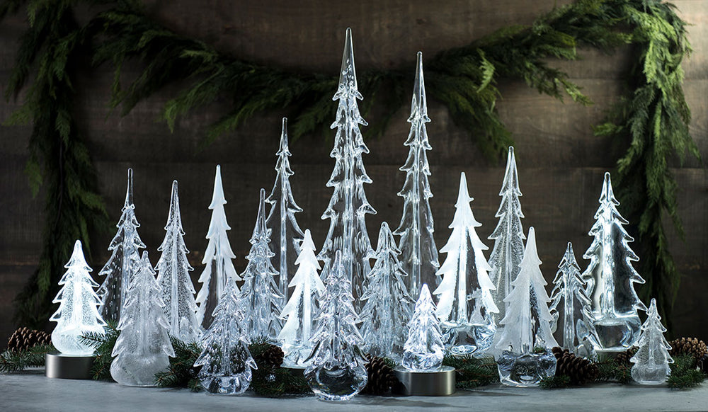 Tis the Season: Evergreens