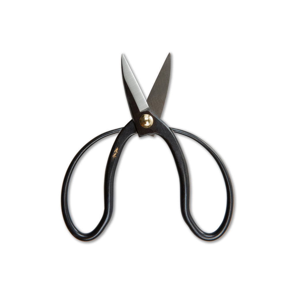 Black pruning scissors with pointed blades, curved handles, and brass pivot bolt against white background.