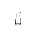 Clear glass carafe with curved sides and a spout at the top.