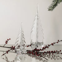 Ice Laden Evergreen view 8