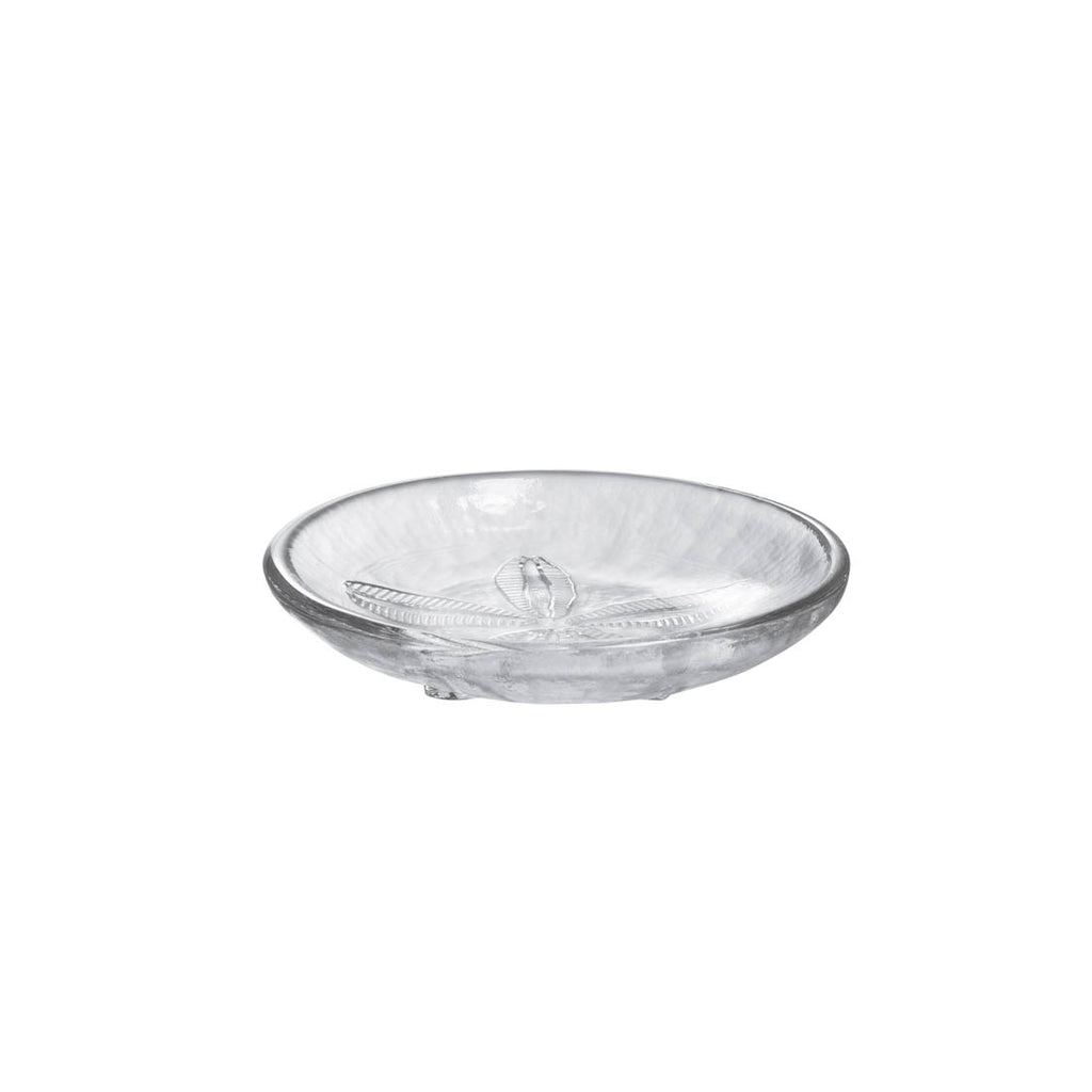 Sand Dollar Plate - M view 3