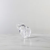 Elephant view 2