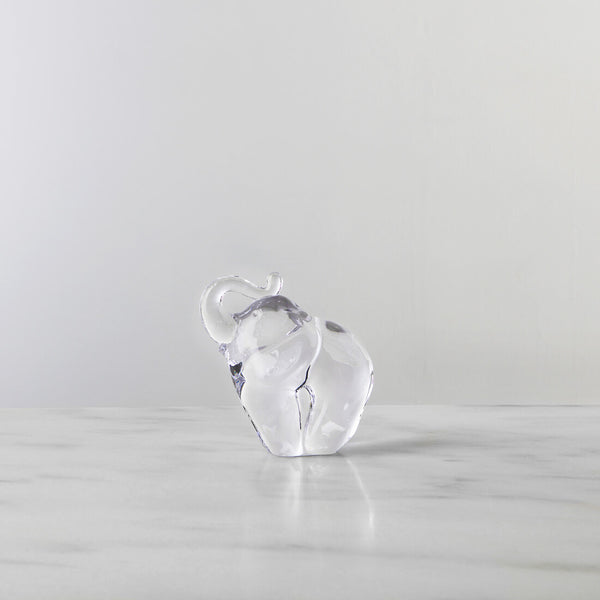 Elephant view 2