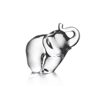 Elephant view 1