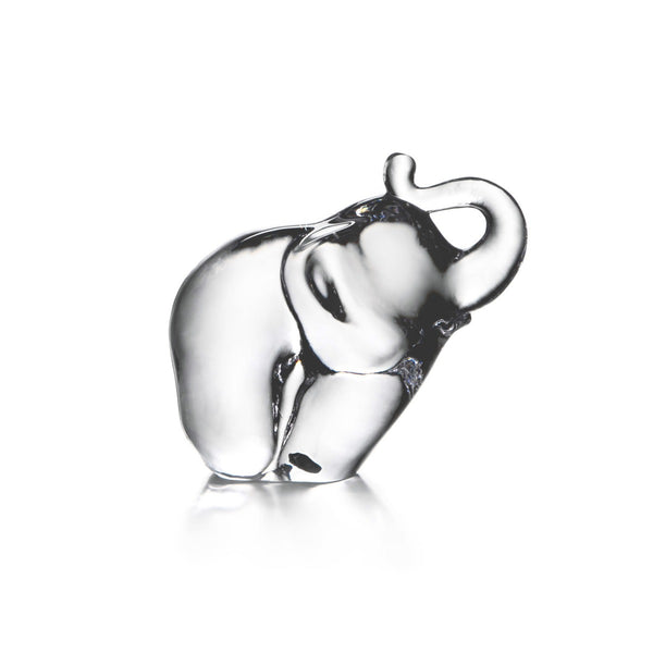 Elephant view 1