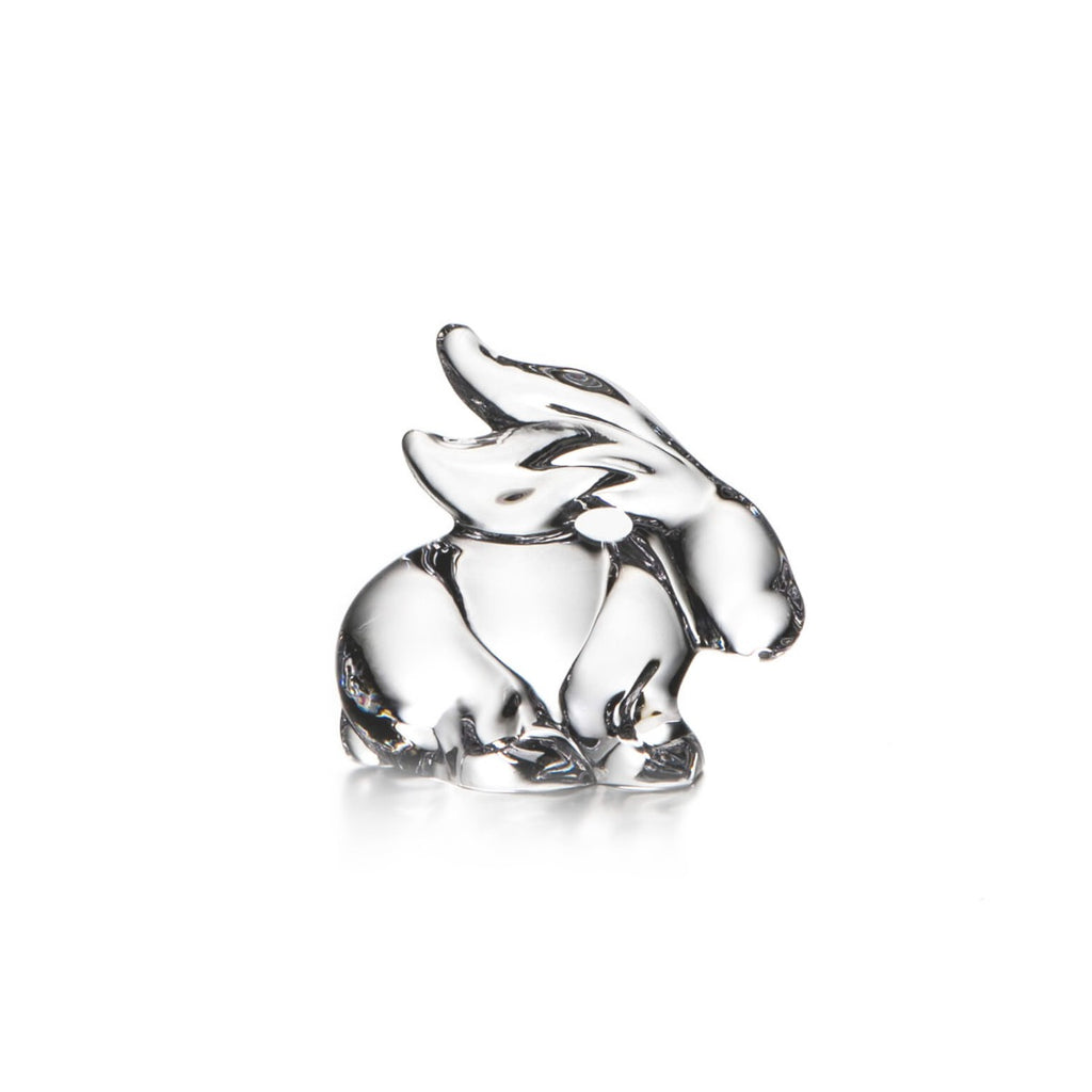 Rabbit view 1