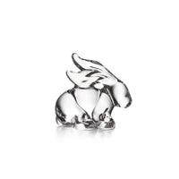 Rabbit view 1