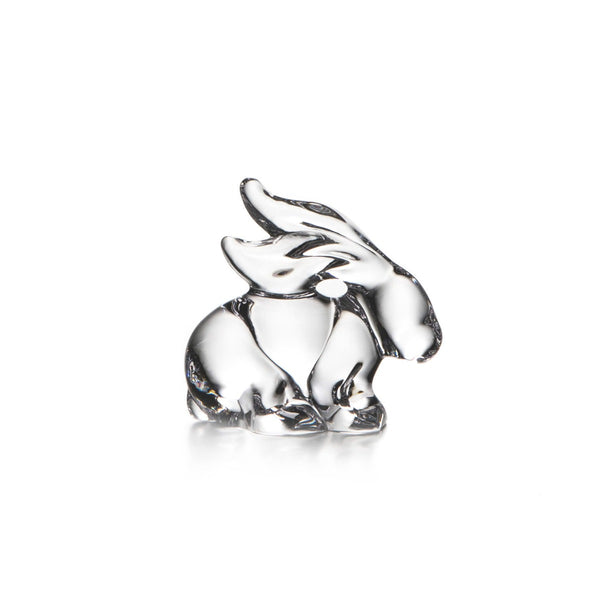 Rabbit view 1