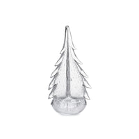 Vela Evergreen in Gift Box view 1