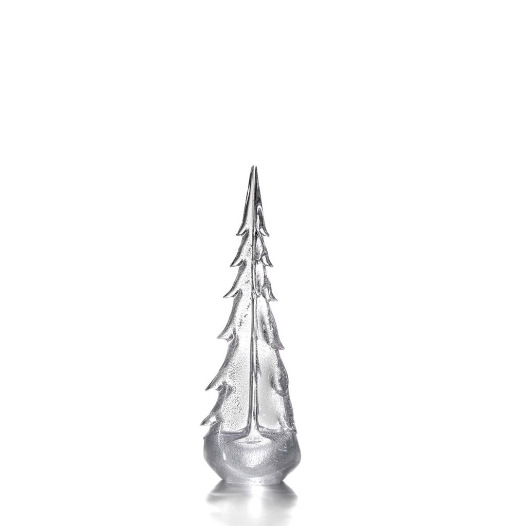 Silver Leaf Evergreen - 18 Inch 2nd view 1