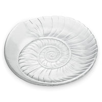 Shell Platter - 2nd view 2