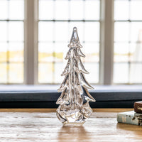 Five Sided Evergreen in Gift Box view 8