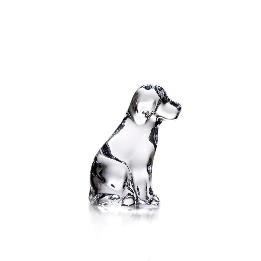 Dog - 2nd view 1