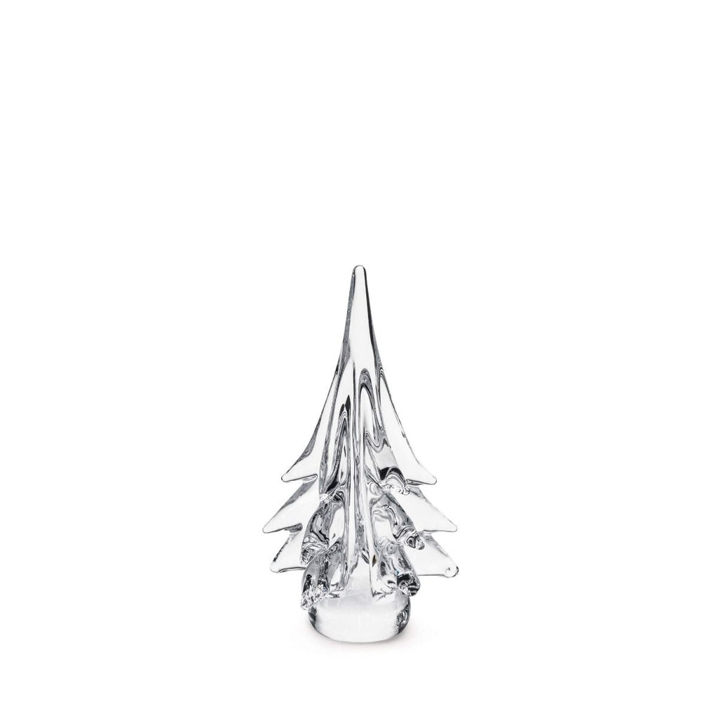 Spruce Evergreen - 10 Inch 2nd view 1