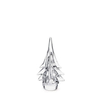 Spruce Evergreen - 10 Inch 2nd view 1