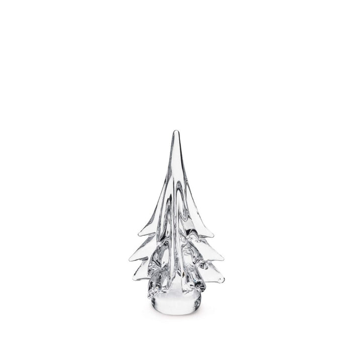 Spruce Evergreen - 10 Inch 2nd view 1