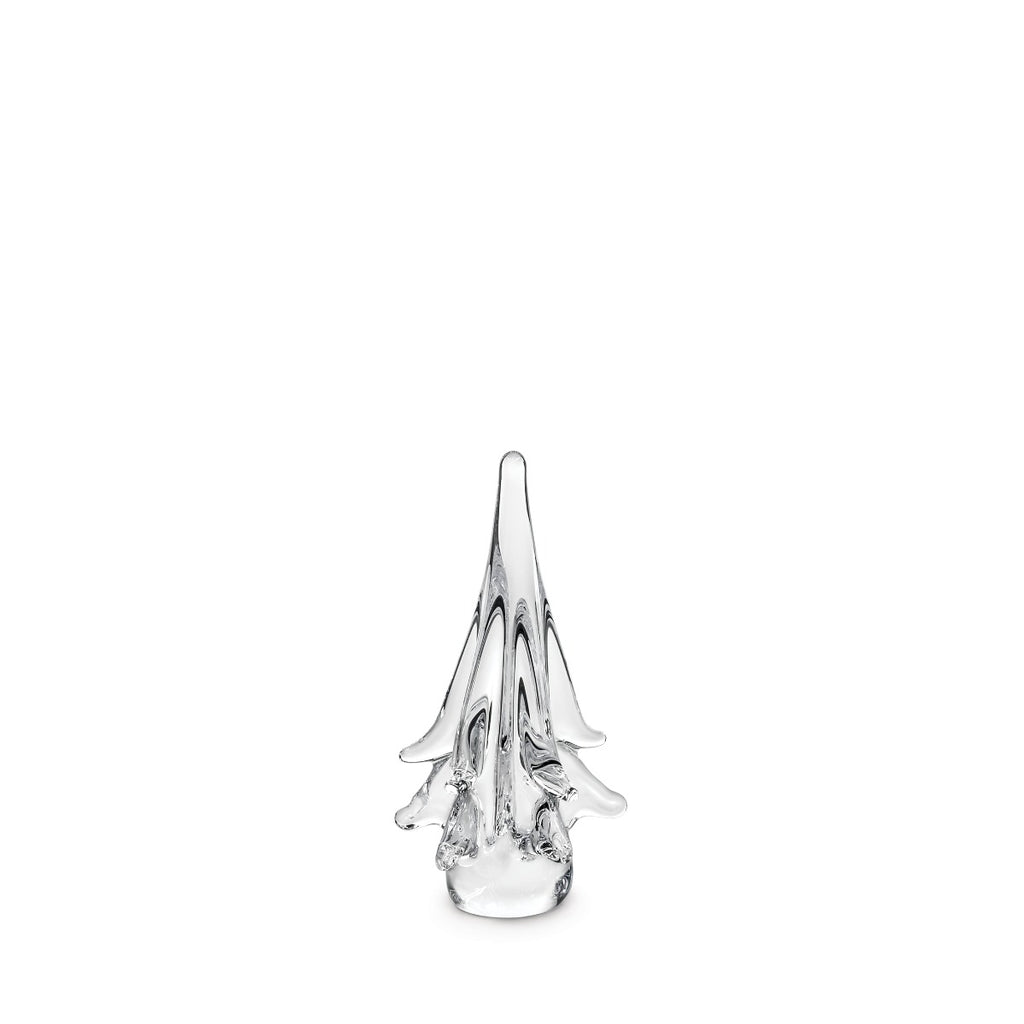Spruce Evergreen - 6 Inch 2nd view 1