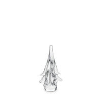 Spruce Evergreen - 6 Inch 2nd view 1