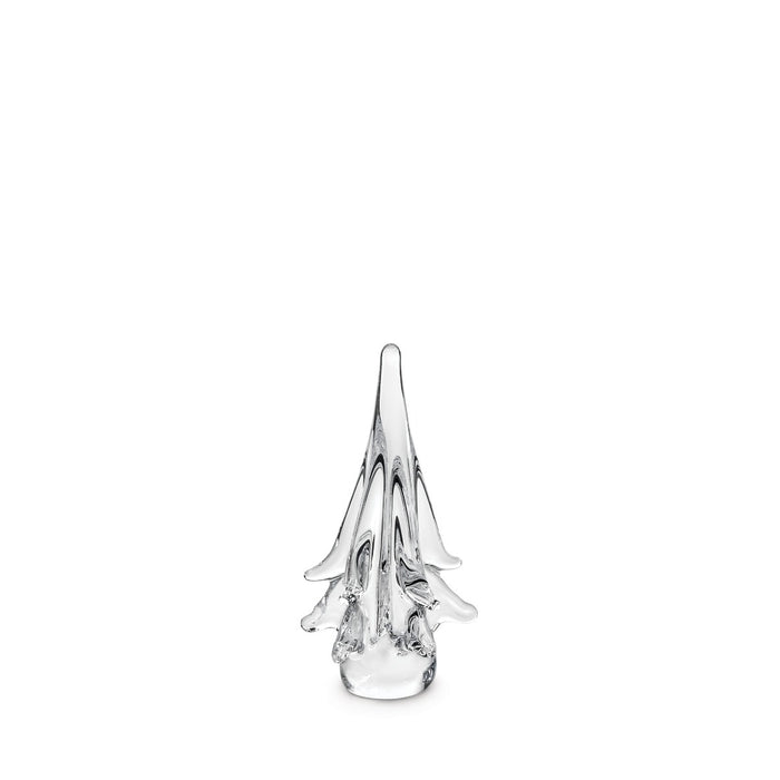 Spruce Evergreen - 6 Inch 2nd view 1