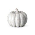 White crystalline pumpkin with ridged segments and curved stem, medium size.