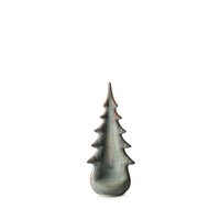 Pottery Evergreen - 10 Inch - 2nd - Moss Glen view 1