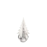 Snowdrift Evergreen in Gift Box view 8