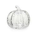 Clear glass pumpkin with crackle texture and stem on white background.