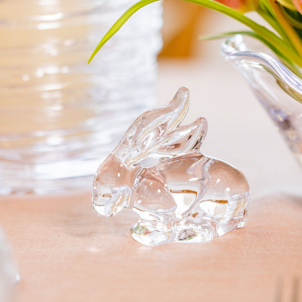 Rabbit view 2