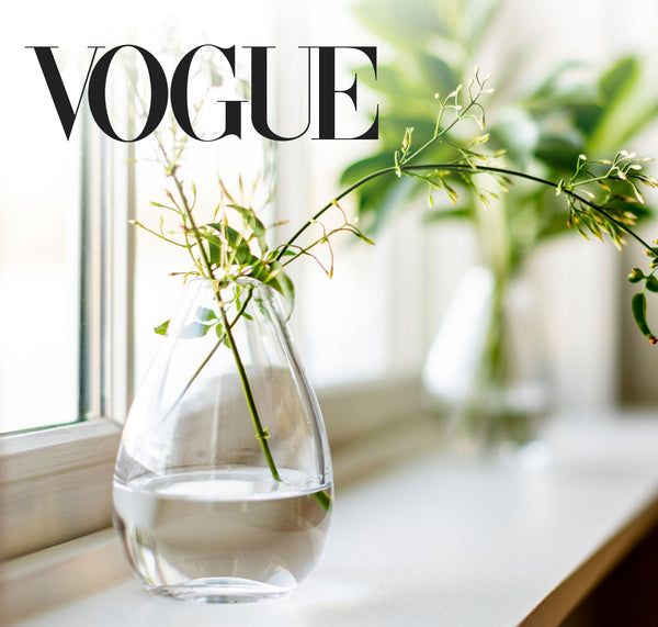 Vogue feature: Simon Pearce Woodstock Bud Vase, a rounded clear glass vase holding green plant stems, on a bright windowsill