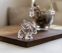 Rabbit view 7