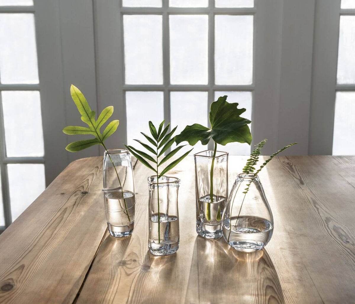 Four clear glass bud vases with water and fresh green foliage arranged on a wooden table near windows.