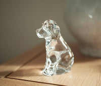 Dog view 15