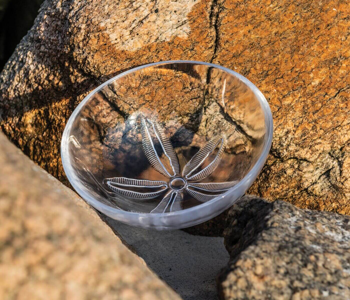 Clear bowl with embossed sand dollar pattern featuring radiating ridges on interior, displayed on textured stone surface.