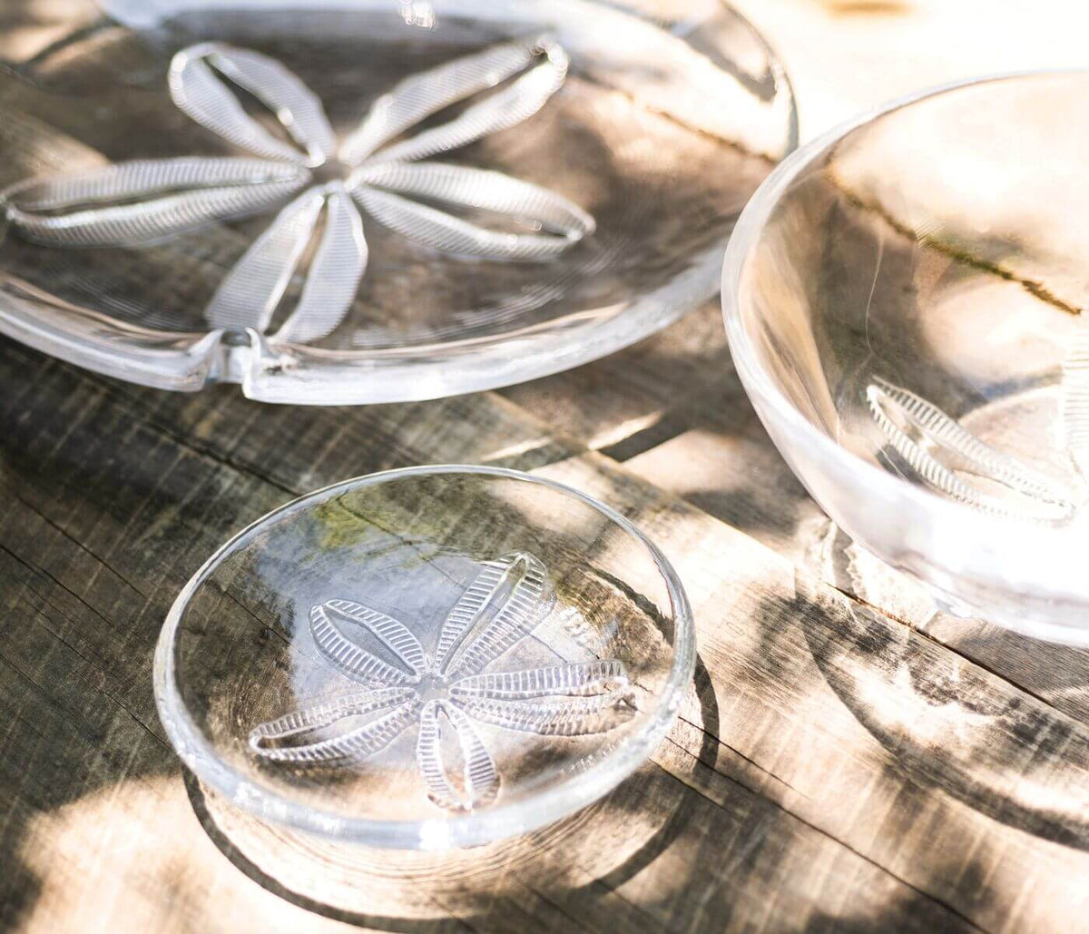 Clear glass bowls with embossed sand dollar pattern, shown in sunlight on wooden surface.