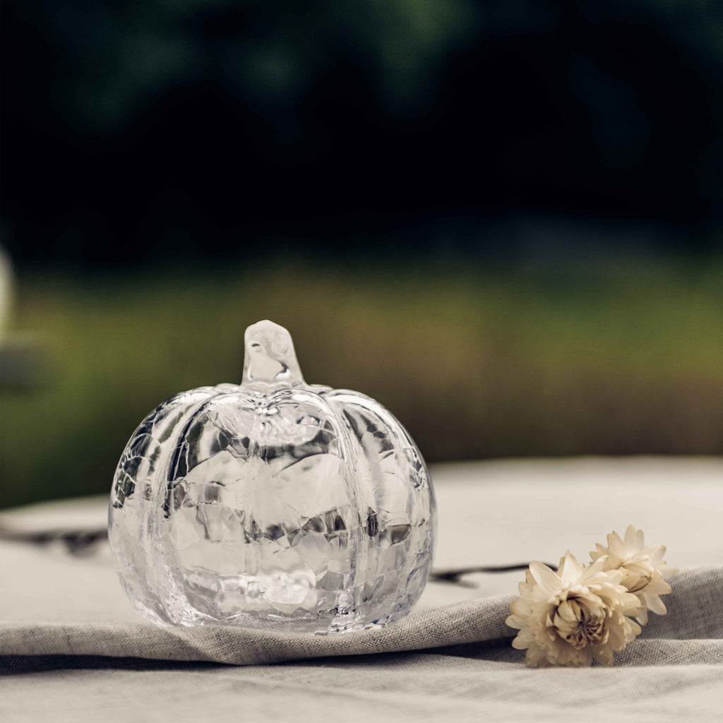 Crackle Pumpkin in Gift Box view 8