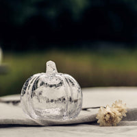 Crackle Pumpkin in Gift Box view 8
