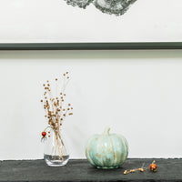 Crystalline Pumpkin view 5