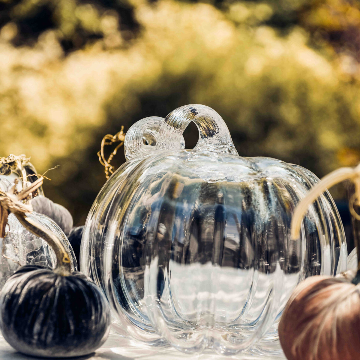 Clear glass pumpkin-shaped ornament surrounded by dark and metallic decorative pumpkins.