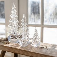 Five Sided Evergreen in Gift Box view 9