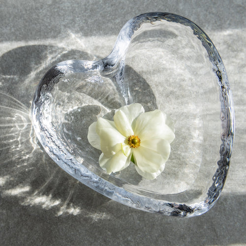 Large heart-shaped clear glass dish with textured blue-gray rim, containing a white flower with yellow center.