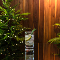 Ascutney Tumbler in Gift Box - Set of 2 view 3