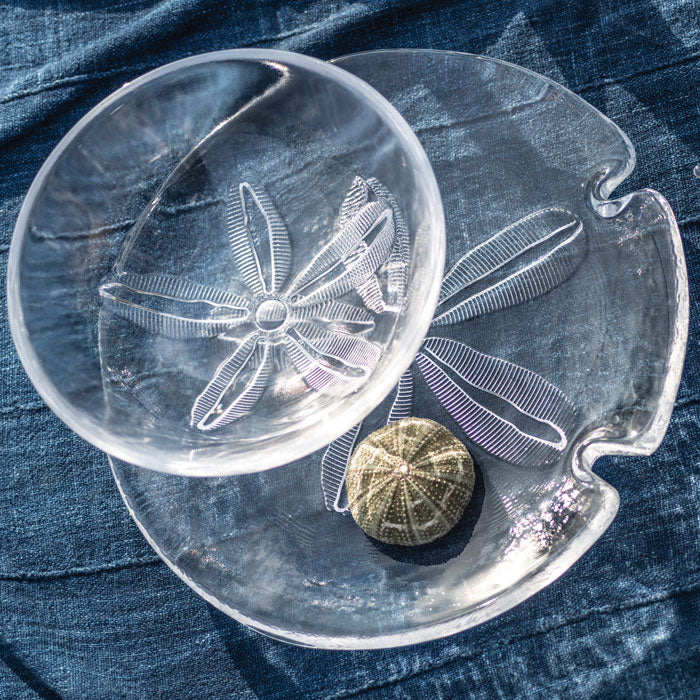 Sand Dollar Platter view 4