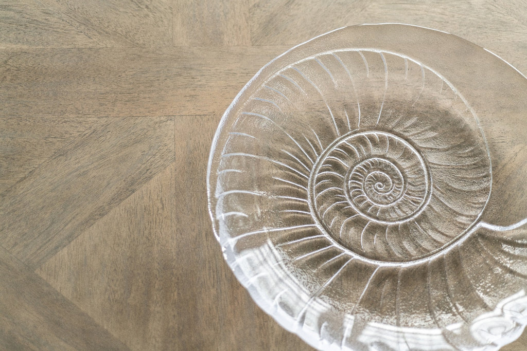 Shell Platter view 2