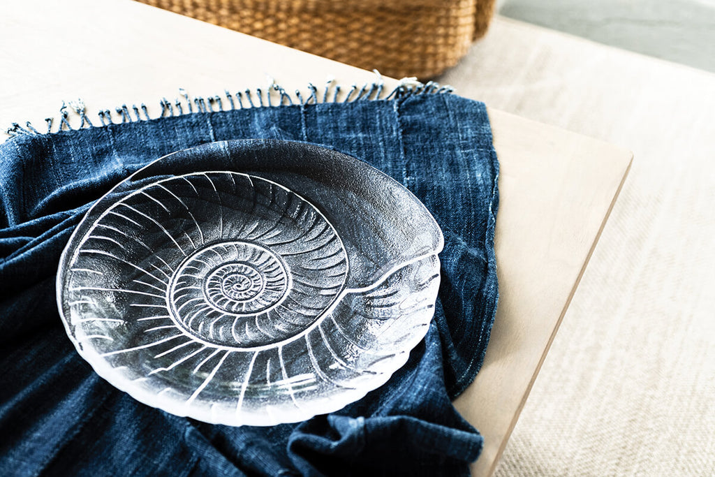 Shell Platter view 3