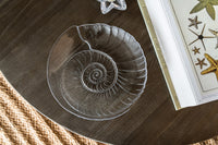 Shell Platter view 5