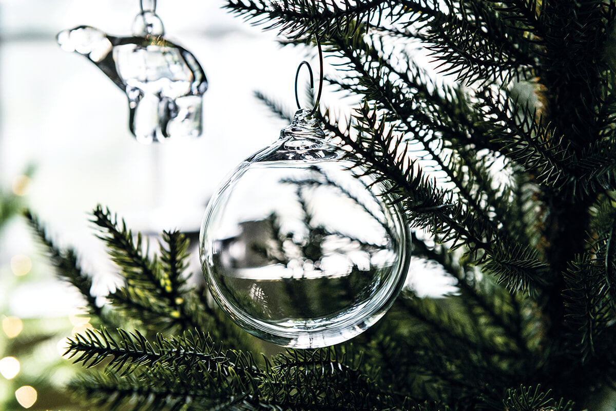 Clear glass round ornament with silver cap and string, hanging from evergreen branch.