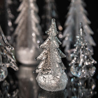 Silver Leaf Evergreen view 9
