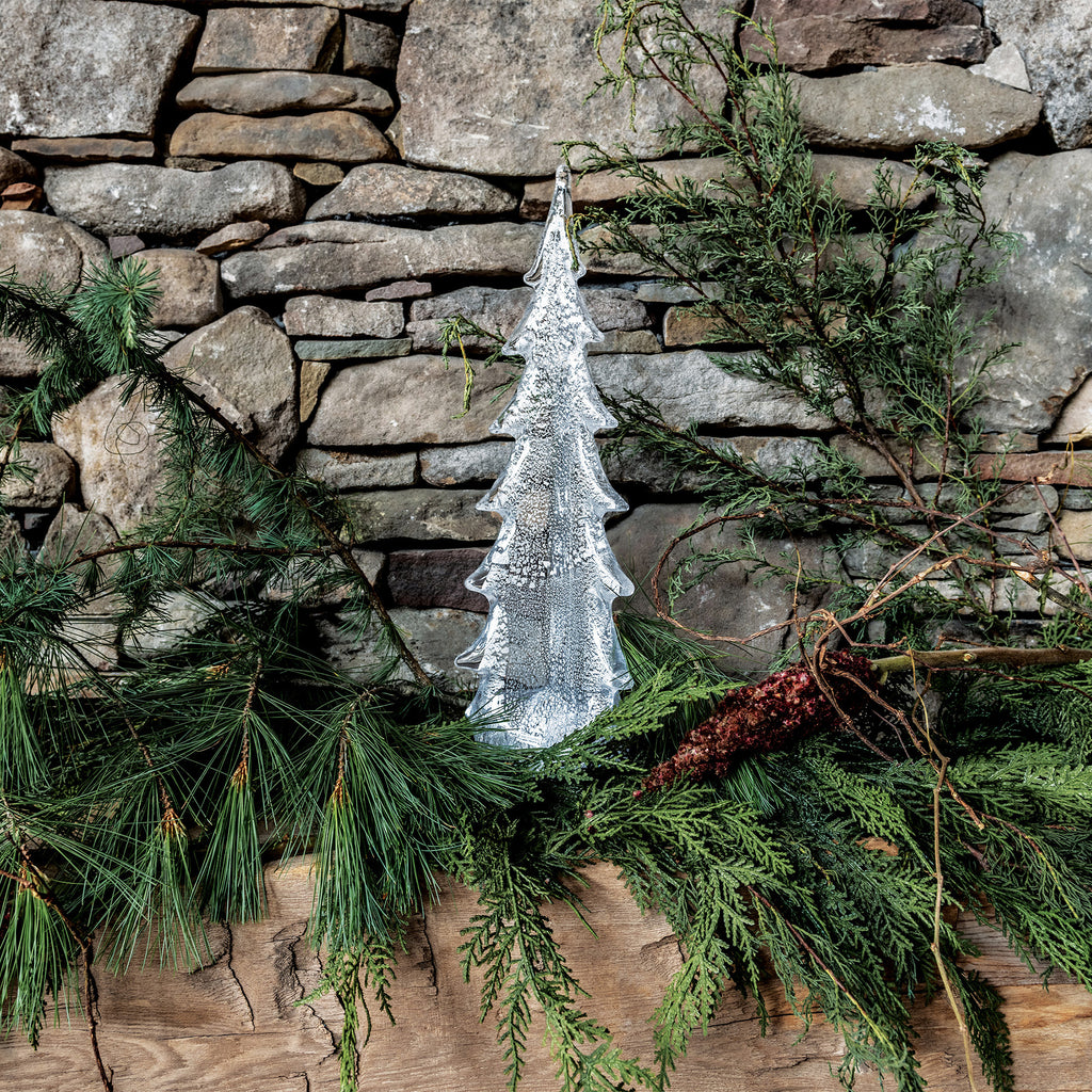 Silver Leaf Evergreen view 10