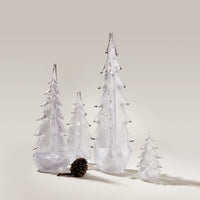 Silver Leaf Evergreen view 2